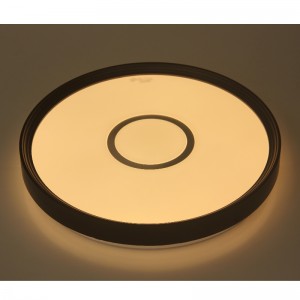 CX231シーリングライト