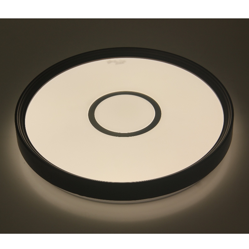 CX231シーリングライト
